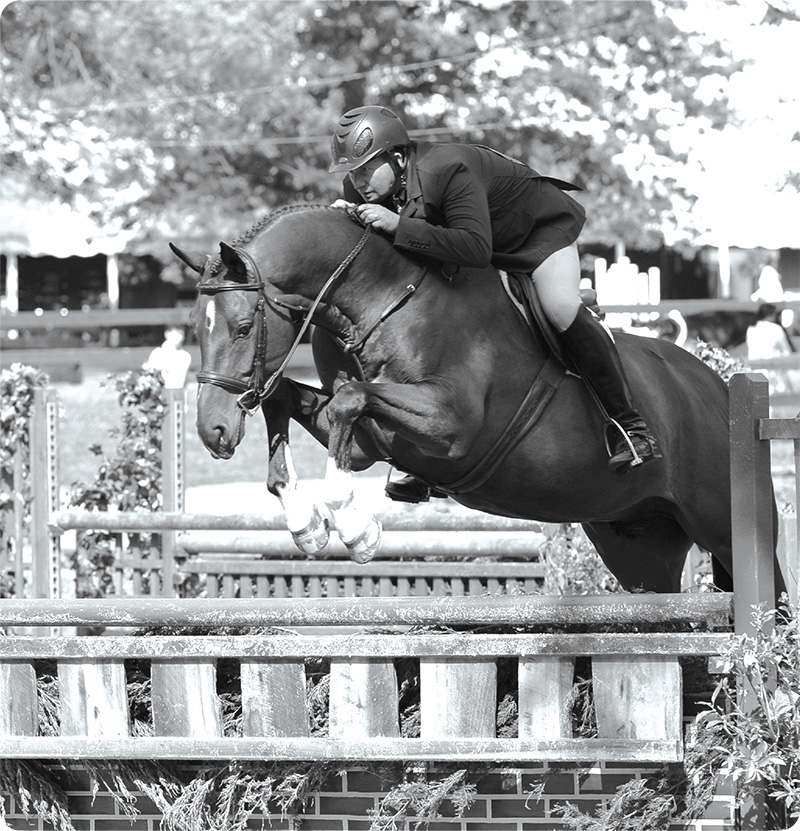 A rider on a horse mid-jump over a fence during an equestrian event, with trees and spectators in the background.